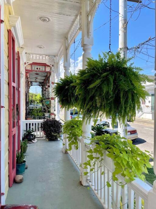 Historic Victorian Studio Near City Park Noma Bayou St John Villa Nueva Orleans Exterior foto